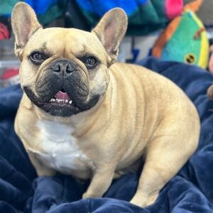 Meet your Posher, William